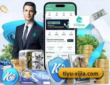开云 APP 深度功能