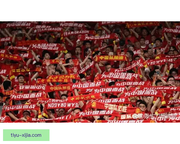 刘少林：我将在看台为中国队加油